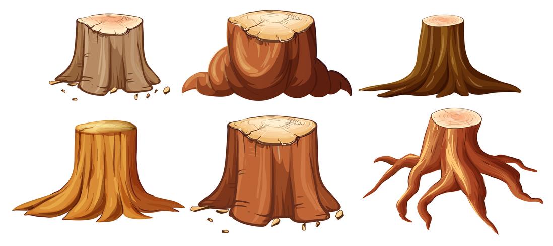 1098x490 A Set Of Different Stump