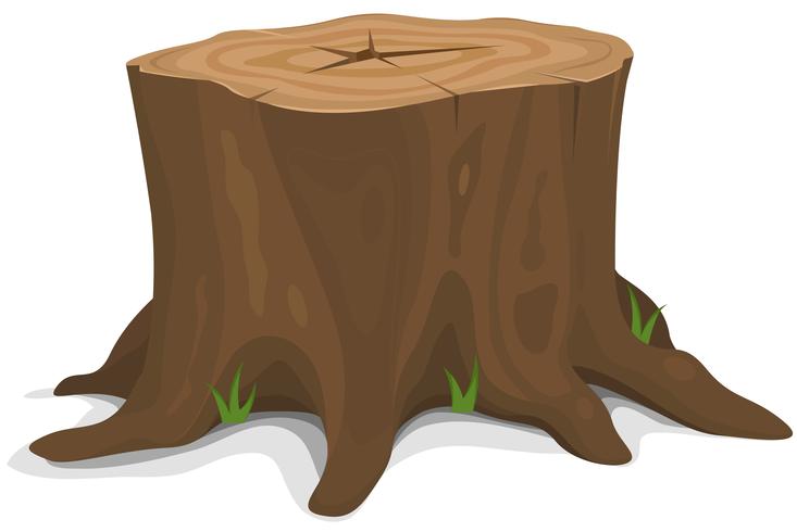 733x490 Tree Stump