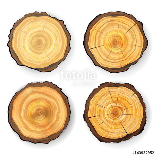 500x500 Cross Section Tree Set Wooden Stump Vector Circles Texture