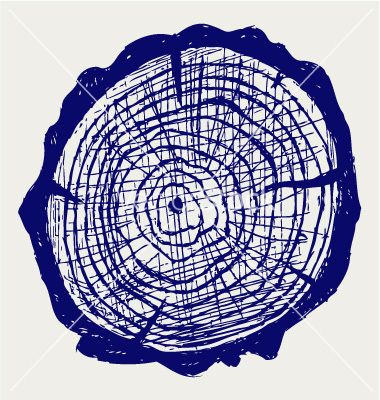 380x400 Cross Section Of Tree Stump Vector Trees In Free Vector