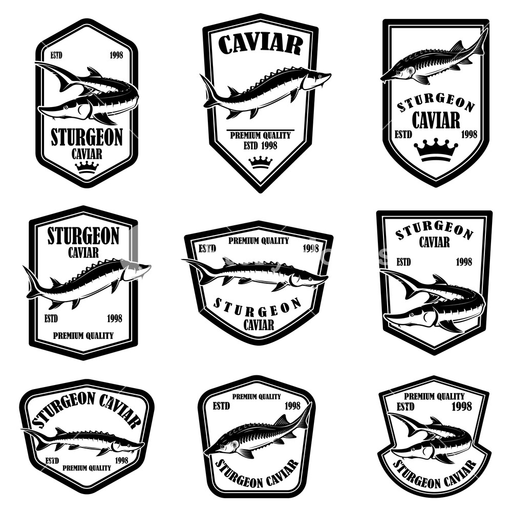 1000x1000 Set Of Sturgeon Caviar Labels Design Element For Logo, Label