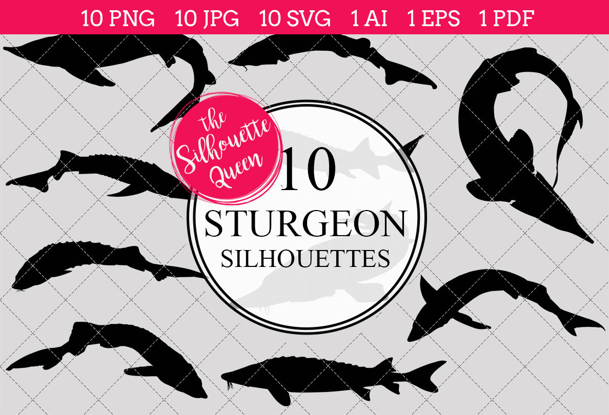 1188x810 Sturgeon Silhouette Vector