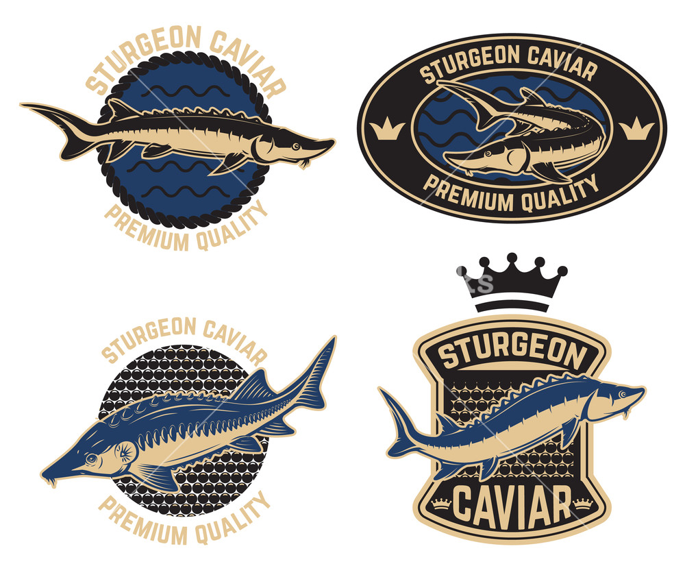 1000x826 Sturgeon Caviar Label Template Design Element For Logo, Label