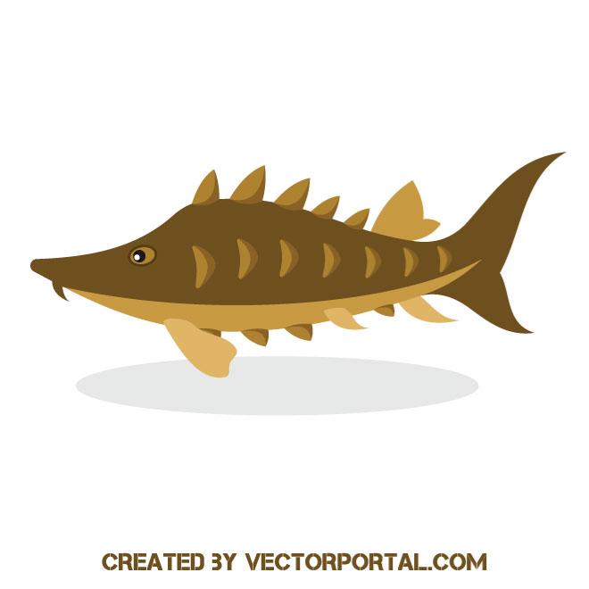660x660 Sturgeon Fish Vector Image