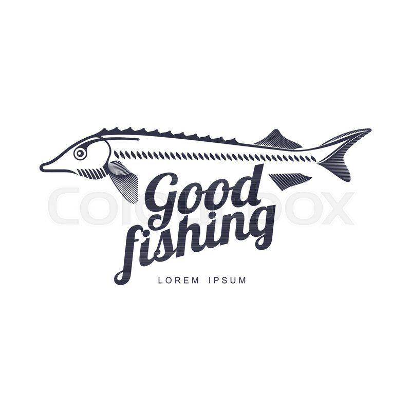 800x800 Stylized Sturgeon Fish, Good Fishing Stock Vector Colourbox
