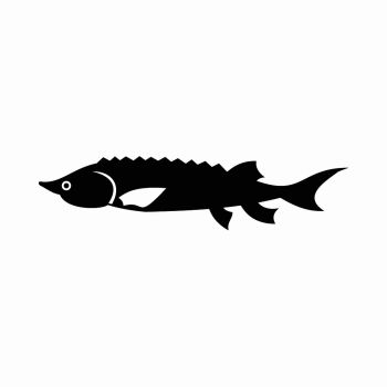 350x350 You Searched For Fresh Sturgeon Fish Icon In Simple Style Isolated