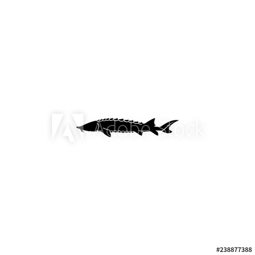 500x500 Sturgeon Vector Icon Sturgeon Sign On White Background Sturgeon