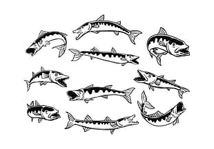 310x217 Germany Fish Monochrome Illustrations Vector Cdr Free