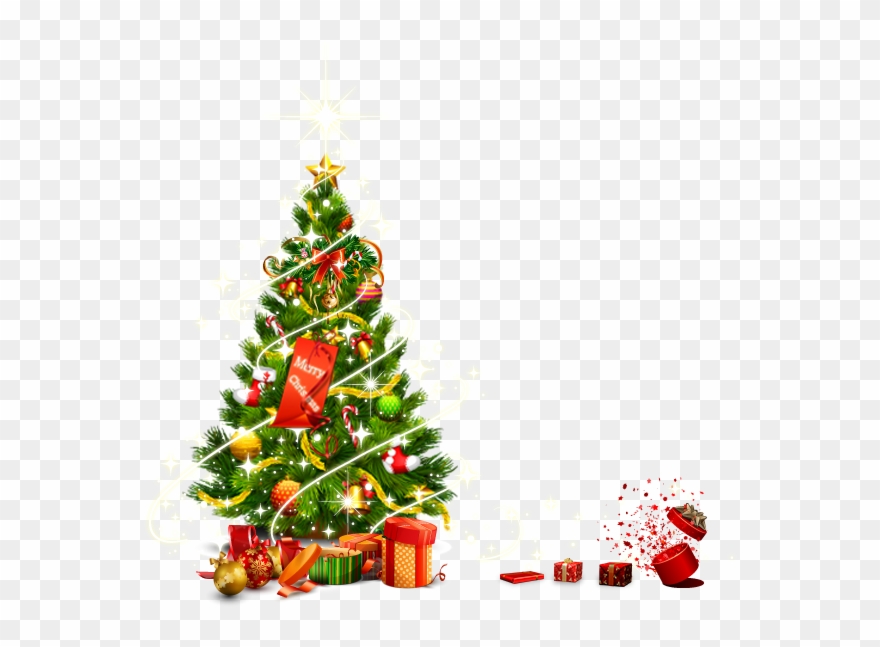 Christmas Tree Vector Png Images 880x647 Christmas Tree Vector Png Images