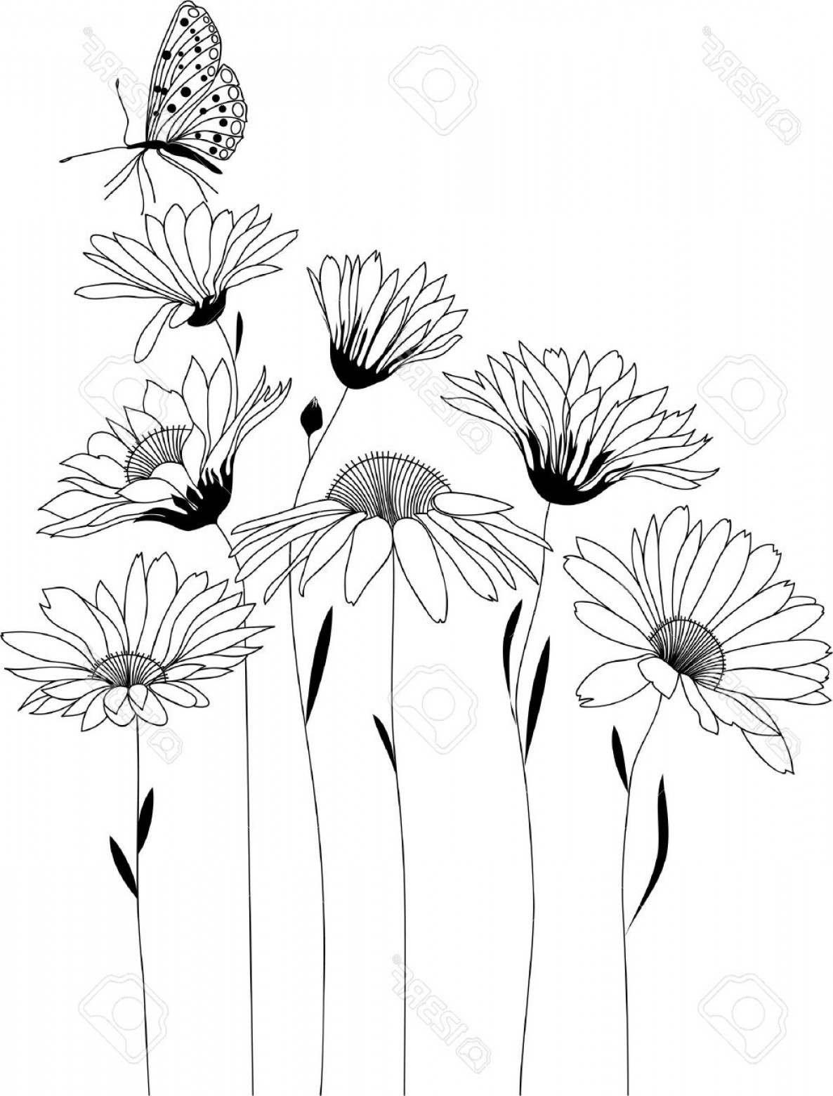 1186x1560 Black Floral Design Flower Vector Lamaison
