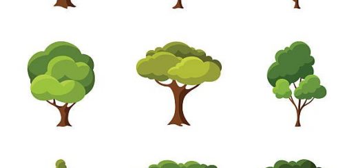 520x245 Vector Tree Best Vector Download