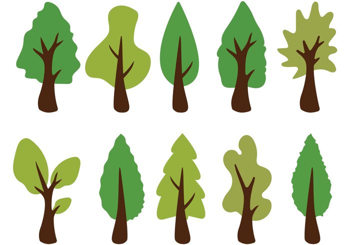 700x490 Cedar Tree Vectors