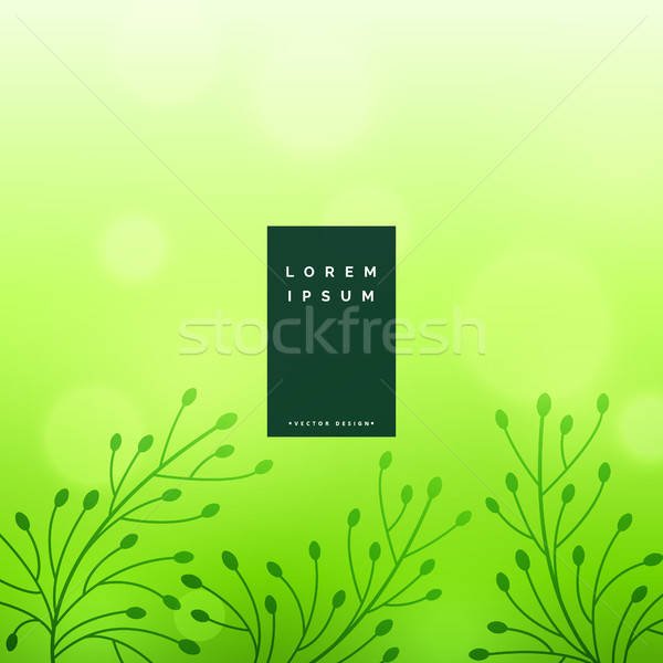 Subtle Green Floral Leaves Background Vector Illustration Star 600x600 Subtle Green Floral Leaves Background Vector Illustration Star