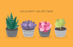 311x200 Succulent Free Vector Art