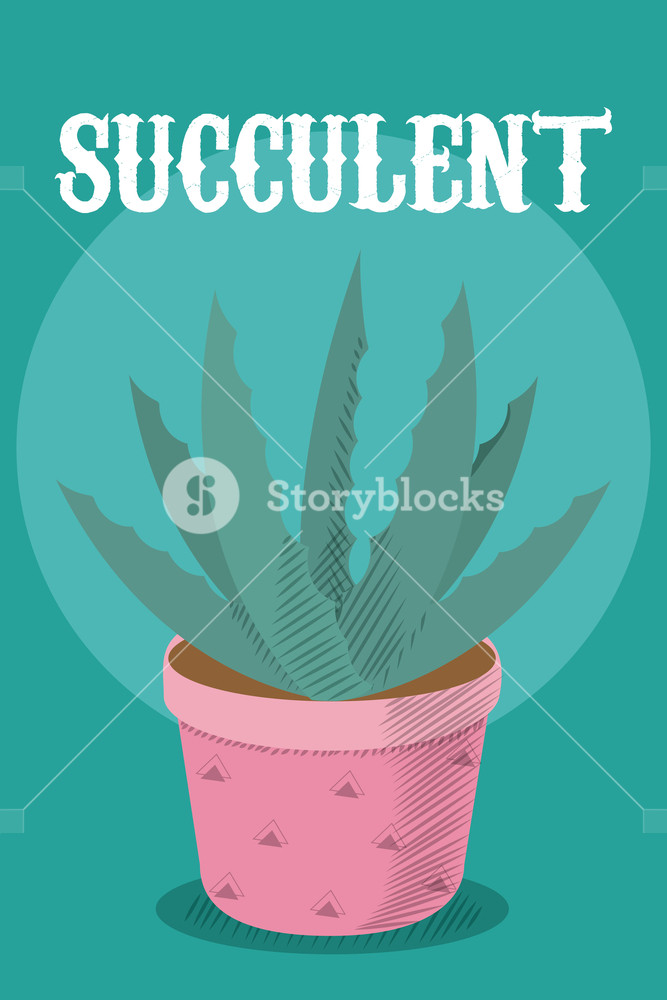 667x1000 Succulent Plant In Pot Over Blue Background Vector Illustration