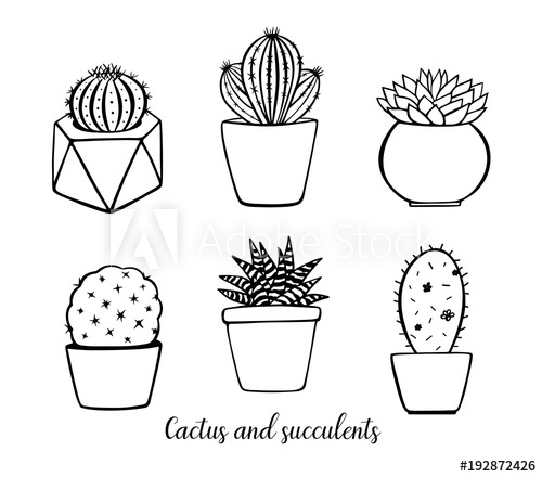 500x440 Vector Hand Drawn Plants In Pots Decorated Cactus And Succulents