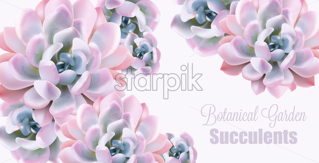 623x318 Watercolor Succulent Plant Vector Card Votanical Painted Vintage