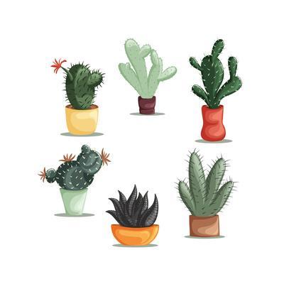 400x400 Colorful Illustration Of Succulent Plants And Cactuses In Pots