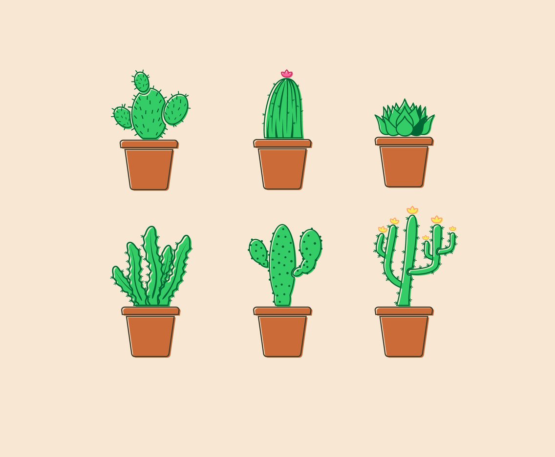 1136x936 Potted Succulent Vector Vector Art Graphics