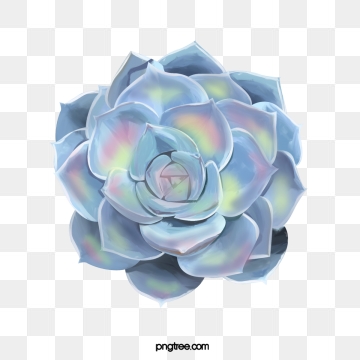 360x360 Succulent Png, Vector, And Clipart With Transparent