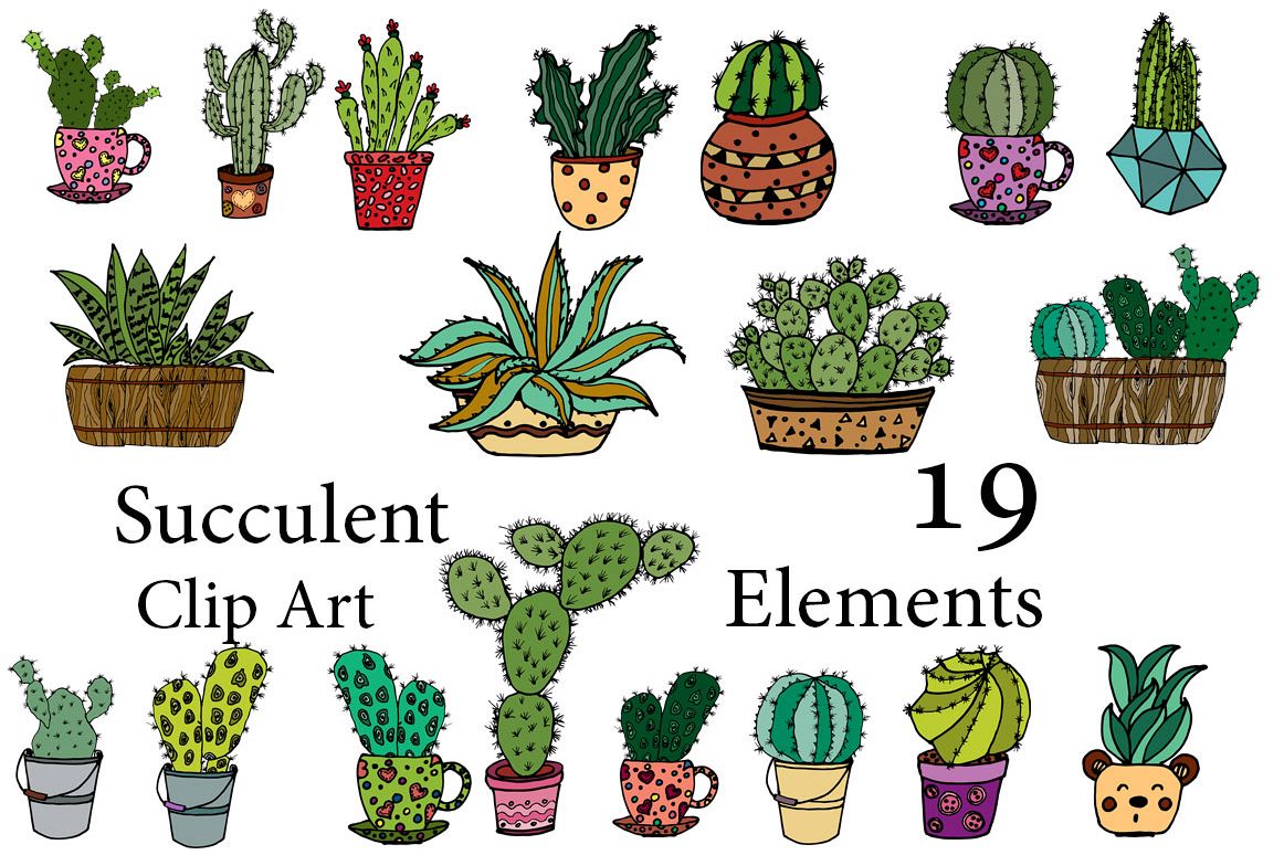 1162x774 Succulent Vector Clipart