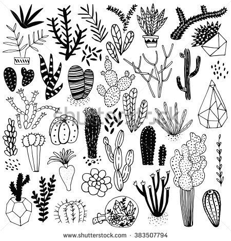 450x470 Black And White Hand Drawn Cactus And Succulents Vector Set
