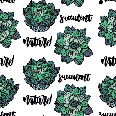400x400 Succulent On Curated Vector Illustrations, Stock Royalty Free