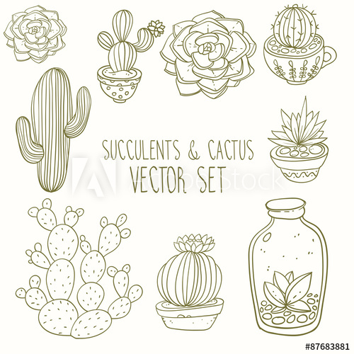 500x500 Succulents And Cactus Vector Handpainted Set