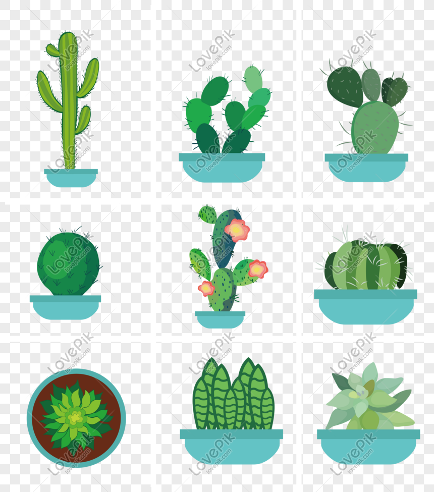 860x975 Hand Painted Succulent Bonsai Vector Free Illustration Png