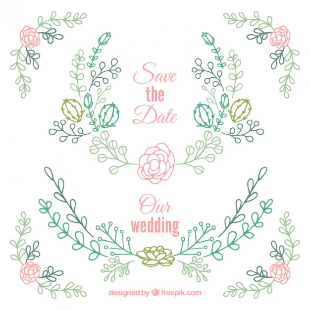 626x626 Succulent Vectors, Photos And Free Download