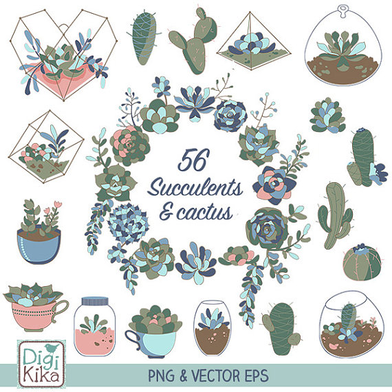 570x570 Succulents Clip Art