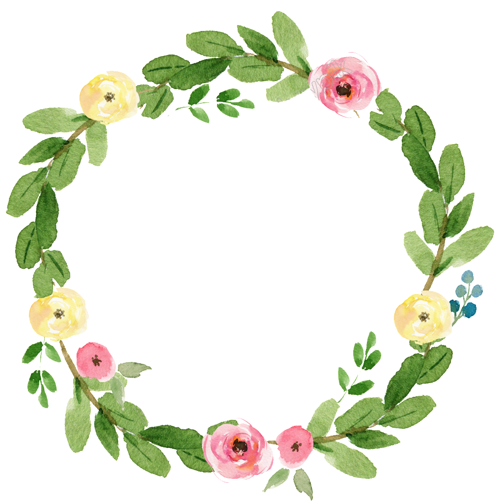 1024x1025 Succulents Hand Drawn Style Download Free Vector Art