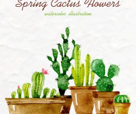 280x235 Succulents Vector