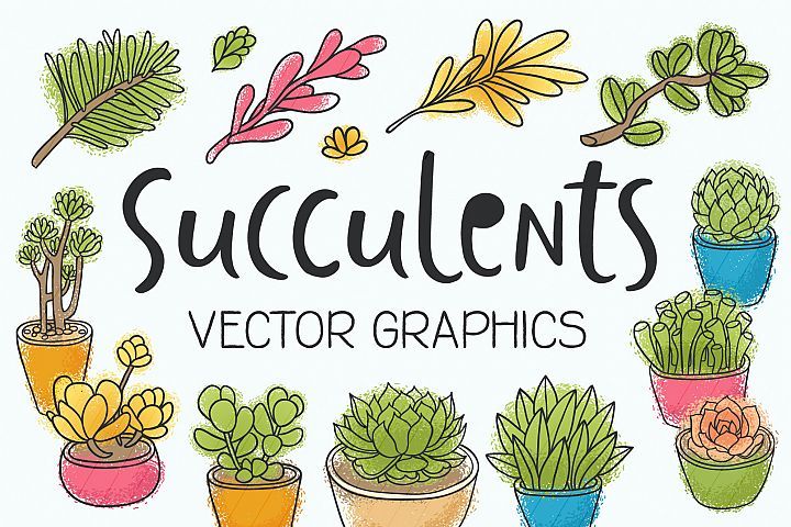720x480 Free Succulents Vector Illustrations Clipart Design Share