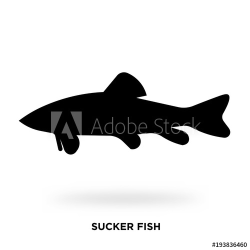 Sucker Fish Silhouette 500x500 Sucker Fish Silhouette