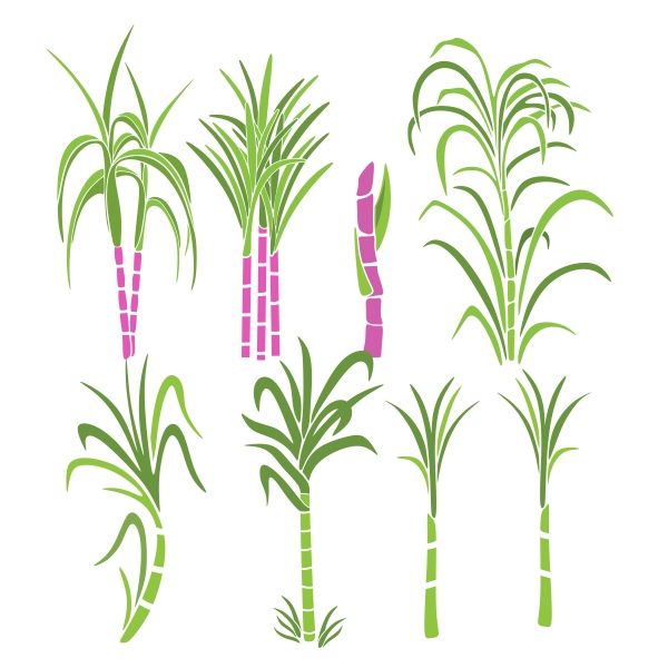 600x600 Flowers And Nature Cutting Tables