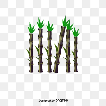 360x360 Sugar Cane Png, Vector, And Clipart With Transparent