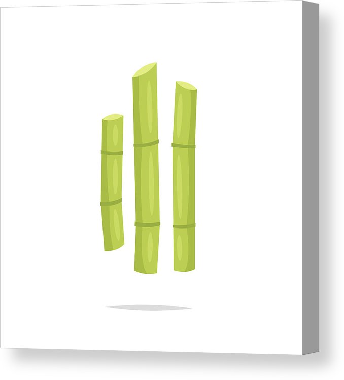 678x750 Sugar Cane Vector Illustration Canvas Print Canvas Art