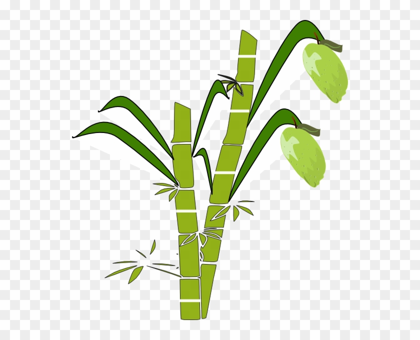 840x680 Sugar Cane Vector Png