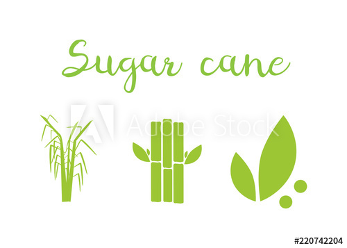 500x357 Sugar And Sugar Cane Labels Sugar Cane Vector Illustration
