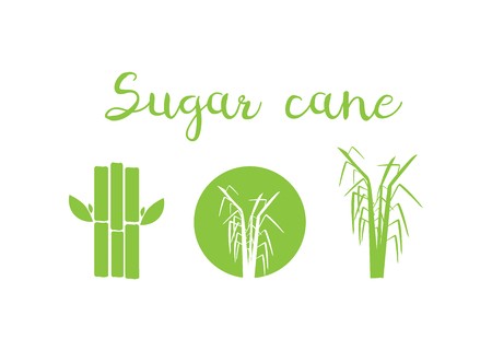 450x321 Sugar Cane Vector Illustration Sugar And Sugar Cane Labels