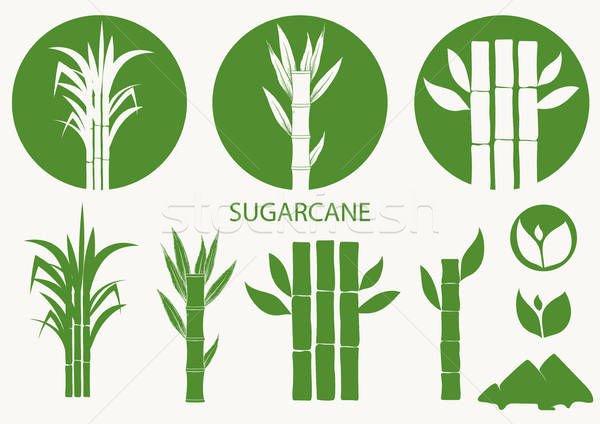 600x424 Sugarcane Stock Vectors, Illustrations And Cliparts Stockfresh