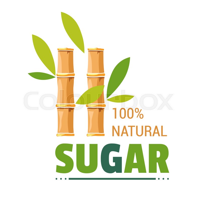 800x800 Sugarcane Natural Organic Sugar Stock Vector Colourbox