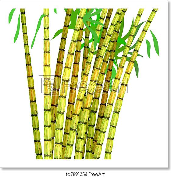 561x581 Free Art Print Of Plant Of Sugar Cane Plant Of Sugar Cane Vector