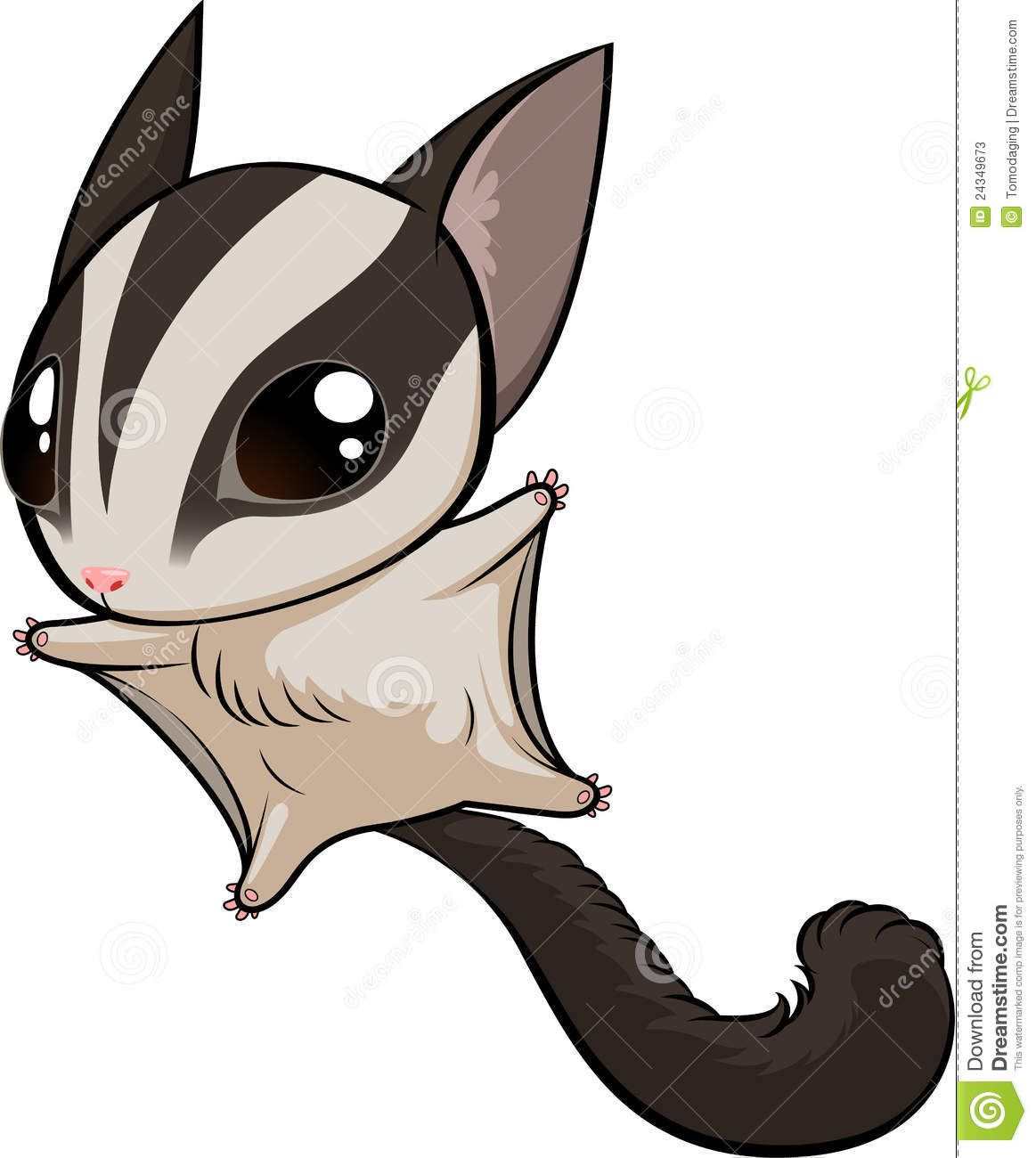 1163x1300 Sugar Glider