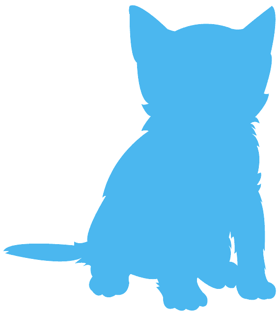 570x640 Sugar Glider