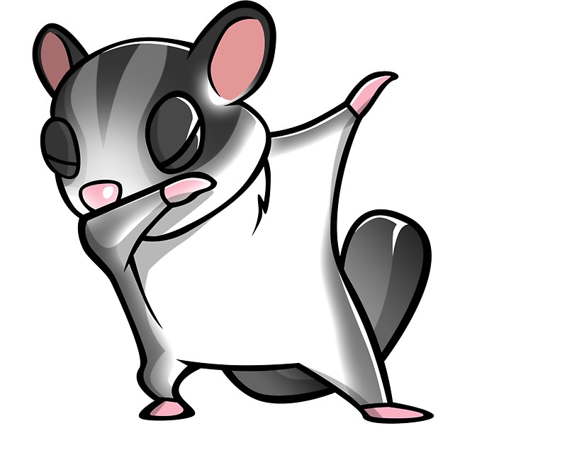 Sugar Glider Vector at Vectorified.com | Collection of Sugar Glider