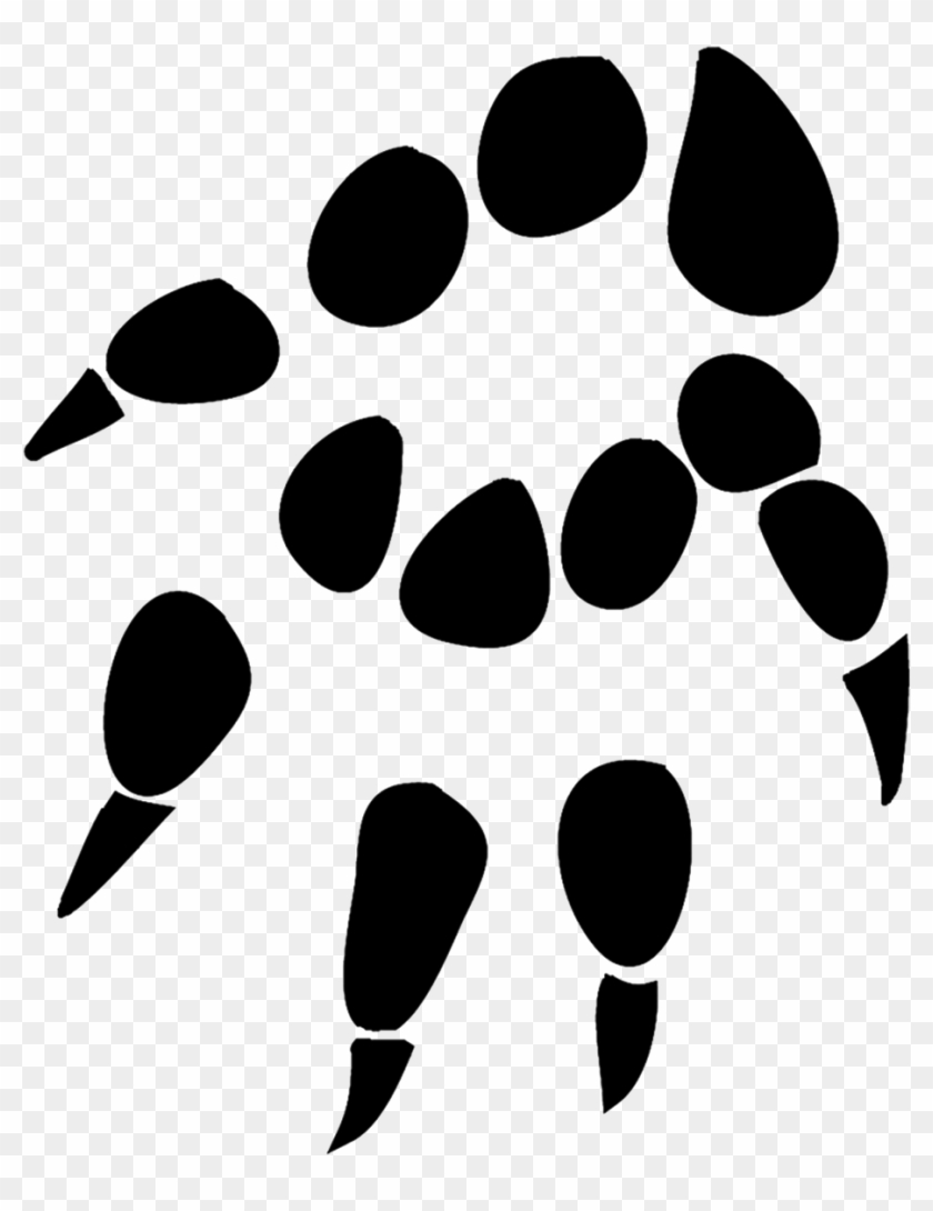 840x1090 Sugar Glider Paw Prints