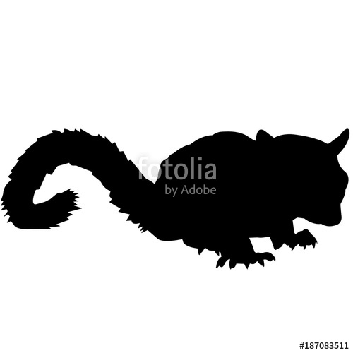 500x500 Sugar Glider Silhouette Vector Graphics Stock Image And Royalty