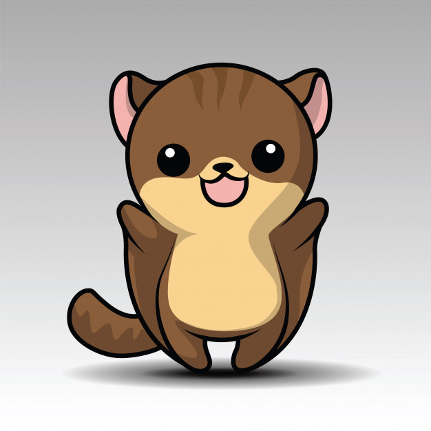 626x626 Sugar Glider Vectors, Photos And Free Download